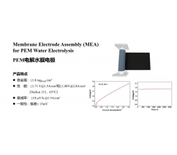 PEM电解水膜电极