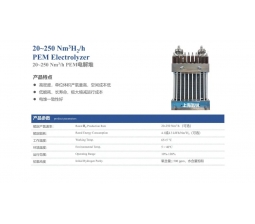 25~250 Nm³/h PEM电解堆