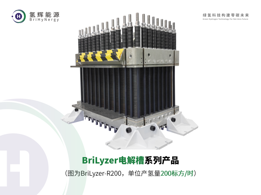 BriLyzer 电解槽