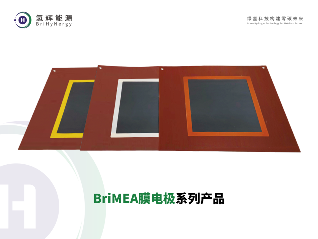 BriMEA膜电极