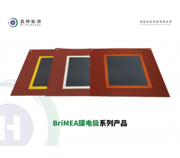 BriMEA membrane electrode